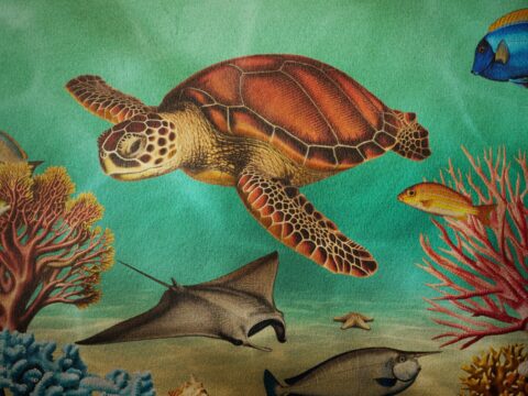 Beneath The <span>Waves</span>