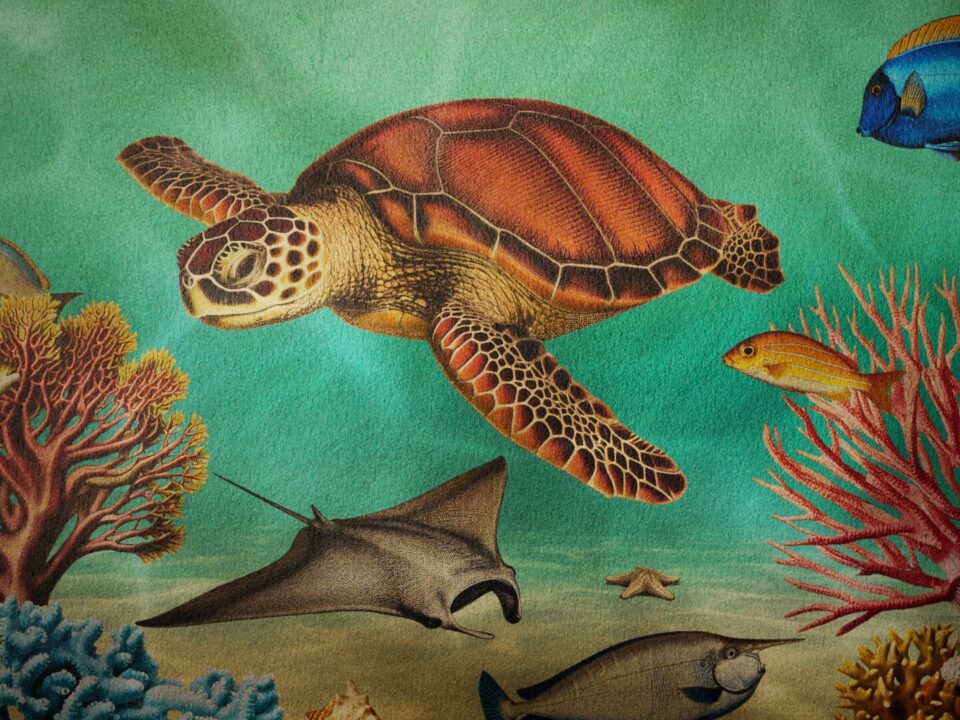 MMM_BeneathTheWaves_02-960x720