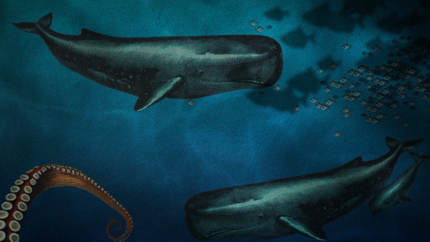 MMM_BeneathTheWaves_04-1440x810